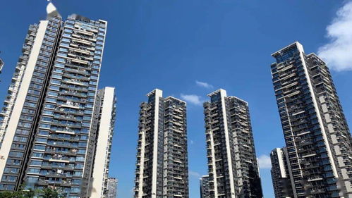 領(lǐng)全國(guó)風(fēng)氣之先的深圳物管行業(yè)主營(yíng)業(yè)務(wù)收入首破千億