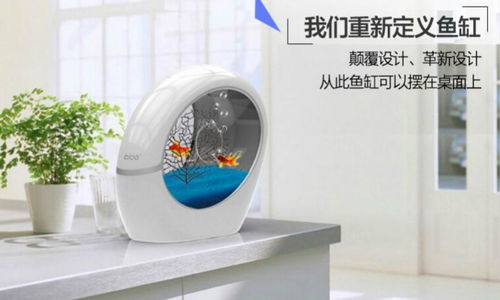 稀品匯 科技與新概念的互聯網營銷先鋒，引領布加桌寶線上銷售新潮流